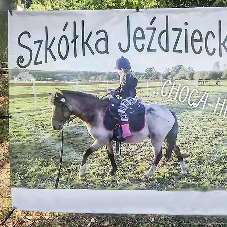 3 Bedroom In * Wisełka